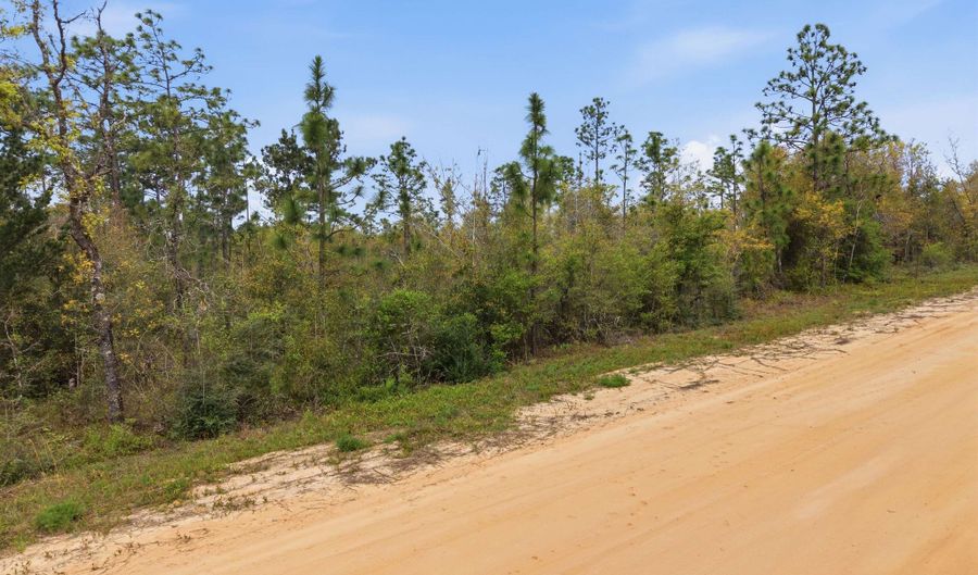 Channel Drive, Alford, FL 32420 - 0 Beds, 0 Bath