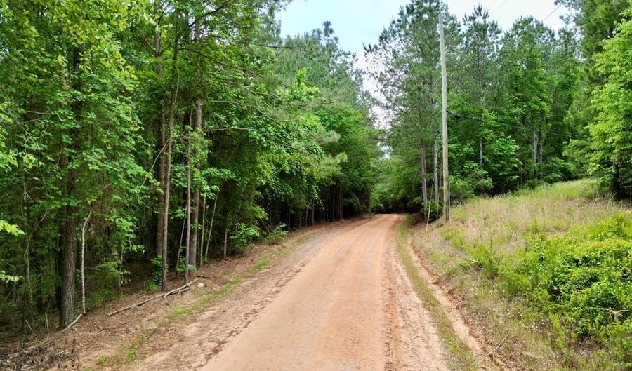 00 County Road 107, Ariton, AL 36311 - 0 Beds, 0 Bath