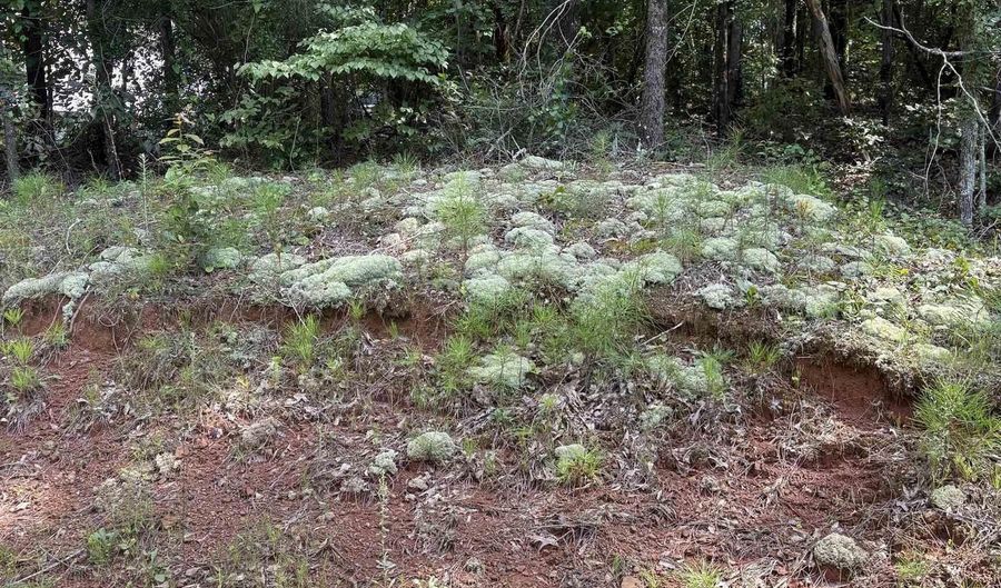 2242 WESTWOOD Dr Lot 11, Alexandria, AL 36250 - 0 Beds, 0 Bath
