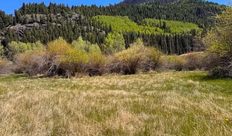 Cottonwood Drive lot 25 & 26, Antonito, CO 81120 - 0 Beds, 0 Bath