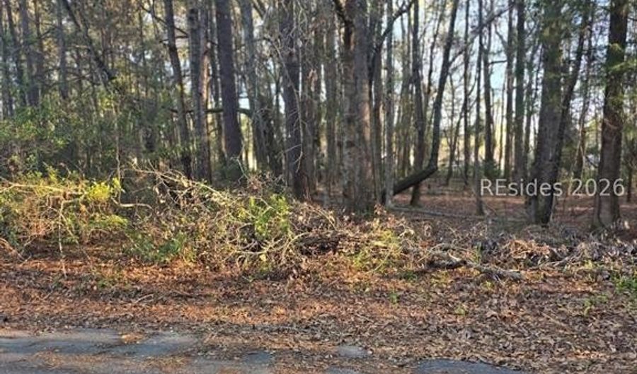 Freeman Street lot 12, Brunson, SC 29911 - 0 Beds, 0 Bath