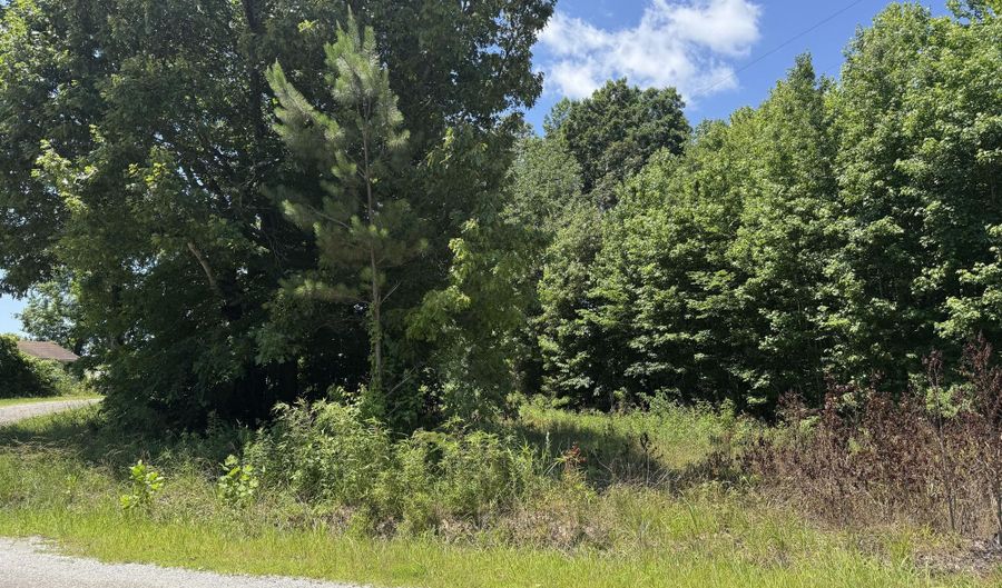 726 Rocky Springs Rd, Beech Bluff, TN 38313 - 0 Beds, 0 Bath