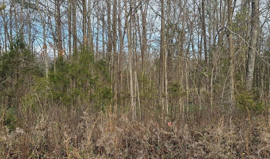 Lynn Lane Lot 23, Big Sandy, TN 38221 - 0 Beds, 0 Bath