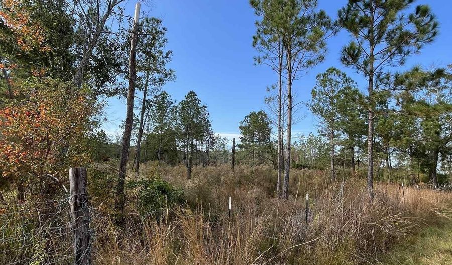 Virginia Drive, Atmore, AL 36502 - 0 Beds, 0 Bath