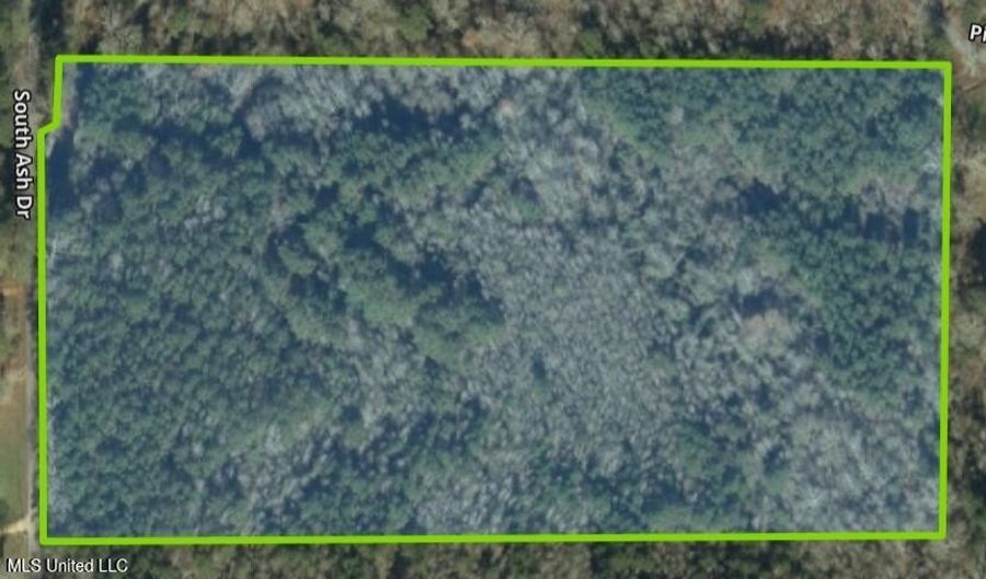 00 Pinola Braxton Rd, Braxton, MS 39044 - 0 Beds, 0 Bath