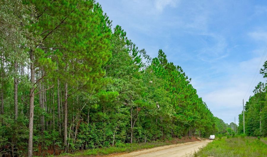 757 Goose Platter Rd, Batesburg, SC 29006 - 0 Beds, 0 Bath