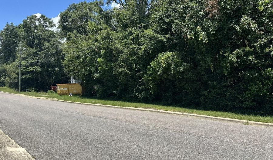 W Watson Street, Andalusia, AL 36420 - 0 Beds, 0 Bath