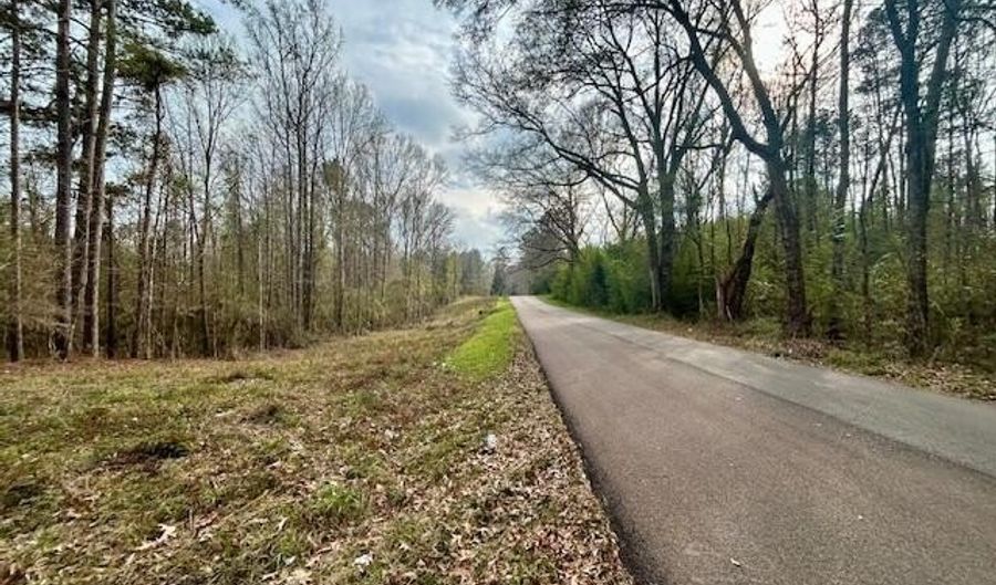 SE Lee Drive, Bogue Chitto, MS 39629 - 0 Beds, 0 Bath