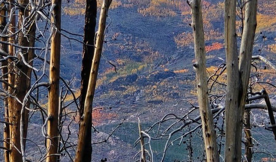 75 Sheep Horn Ct, Bellvue, CO 80512 - 0 Beds, 0 Bath