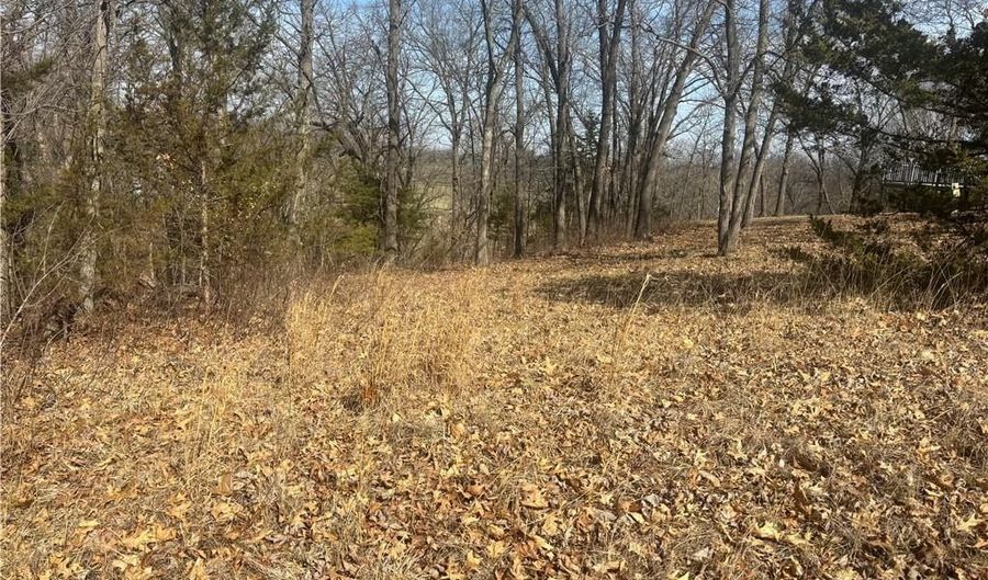 Lot 3109 Lake Viking Terrace, Altamont, MO 64620 - 0 Beds, 0 Bath