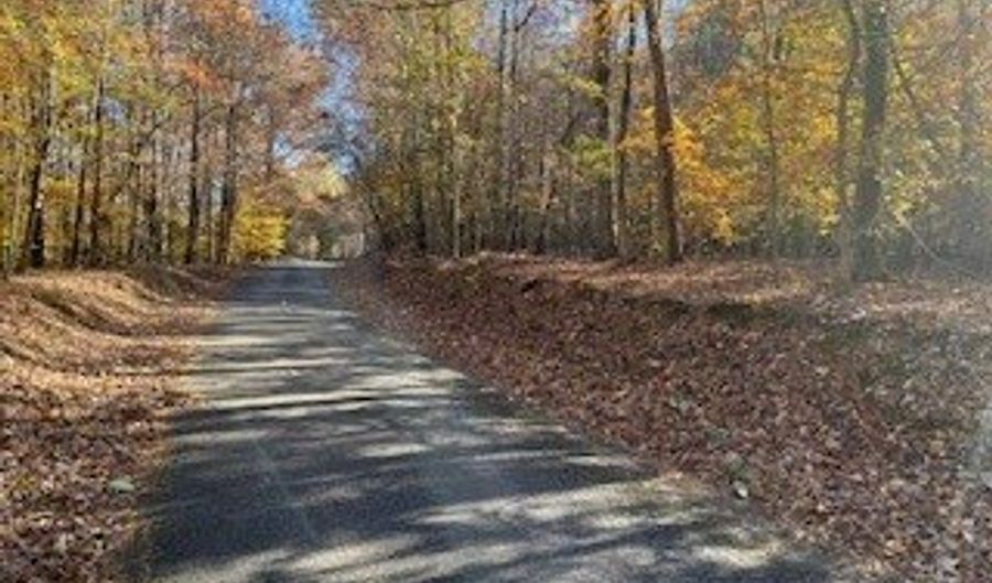 Old Burnt House, Ball Ground, GA 30107 - 0 Beds, 0 Bath