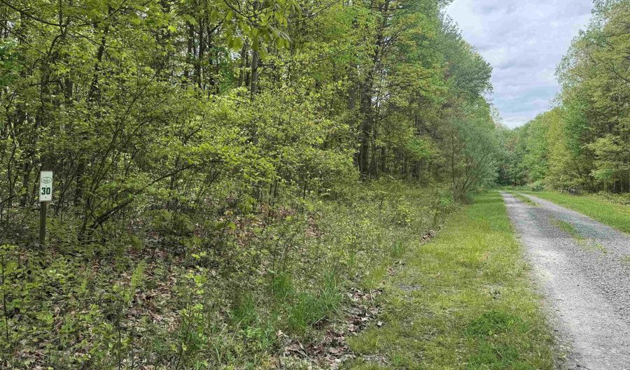 Lot 30 Oak Drive, Albright, WV 26519 - 0 Beds, 0 Bath