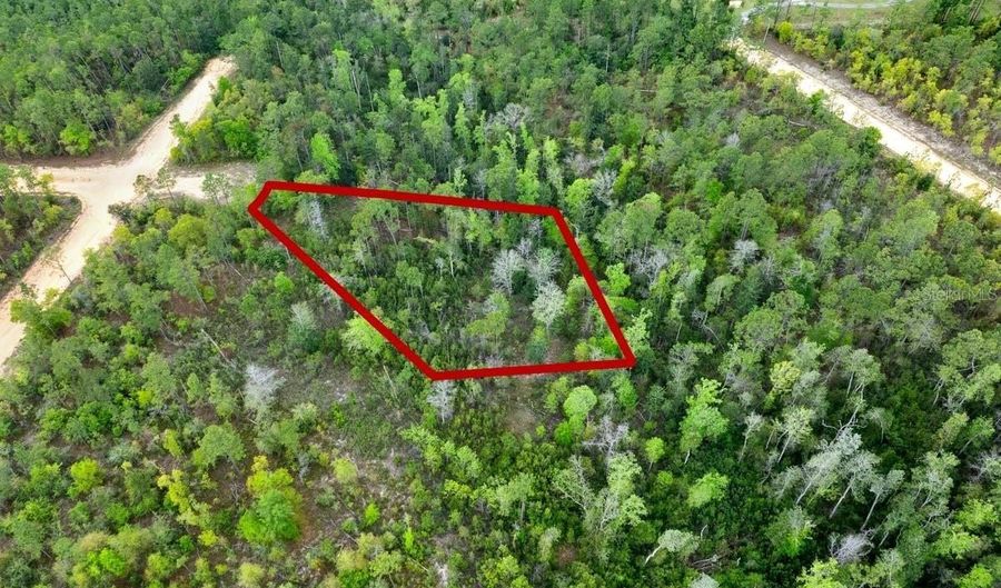 CASTLE CIRCLE, Alford, FL 32420 - 0 Beds, 0 Bath