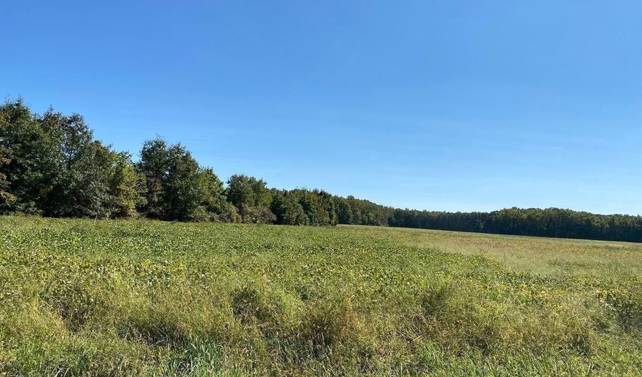 CHANCE Road, Clayton, DE 19938 - 0 Beds, 0 Bath