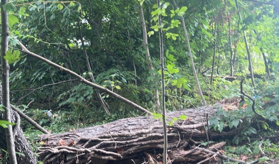 38 Porter Ct, Bristol, CT 06010 - 0 Beds, 0 Bath