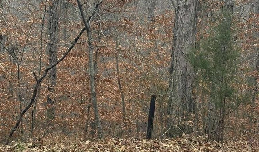 Pine Valley Dr, Bassett, VA 24055 - 0 Beds, 0 Bath