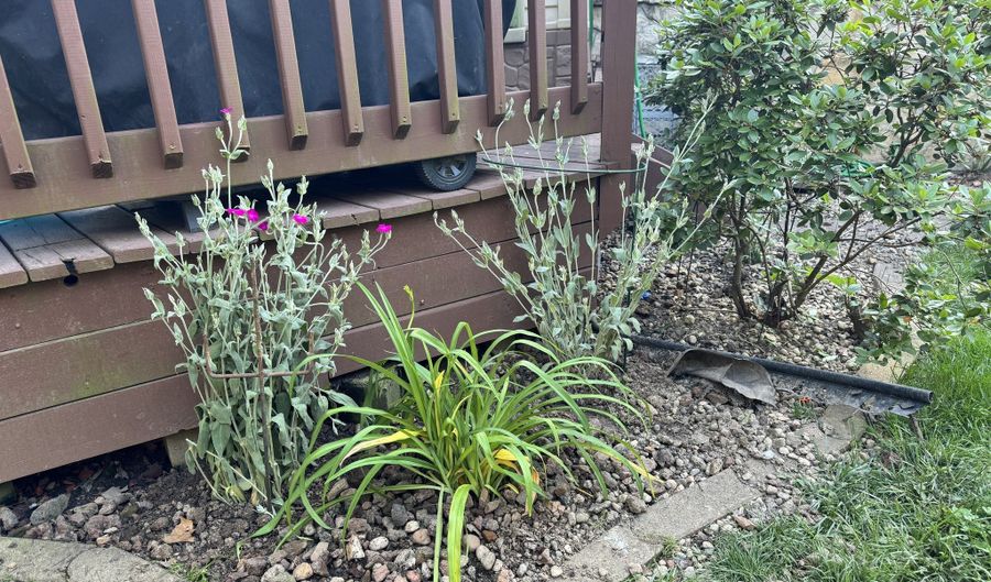 263 Queensway Dr, Avon, IN 46123 - 4 Beds, 2 Bath