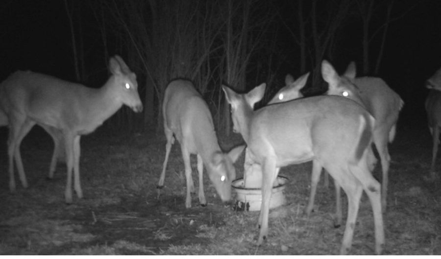 767 County Road 500, Ashland, OH 44805 - 0 Beds, 0 Bath