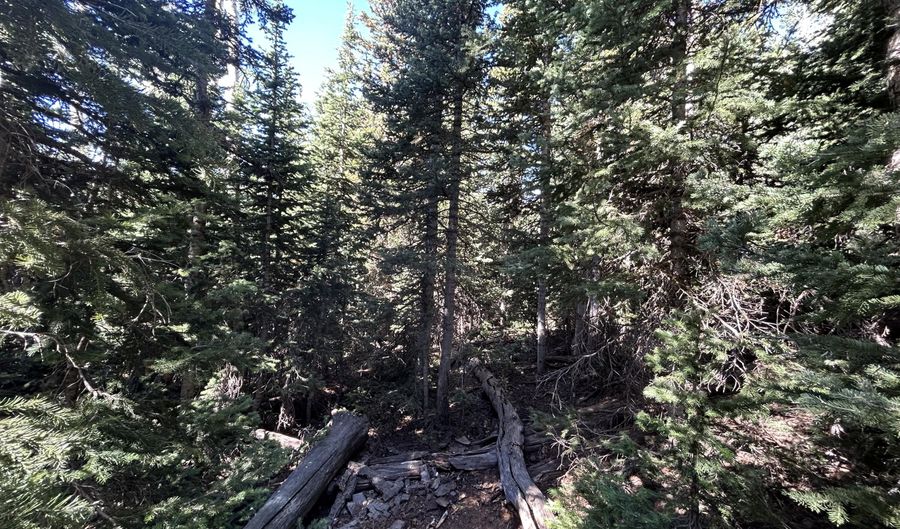 W Hunter Ridge Dr, Brian Head, UT 84719 - 0 Beds, 0 Bath