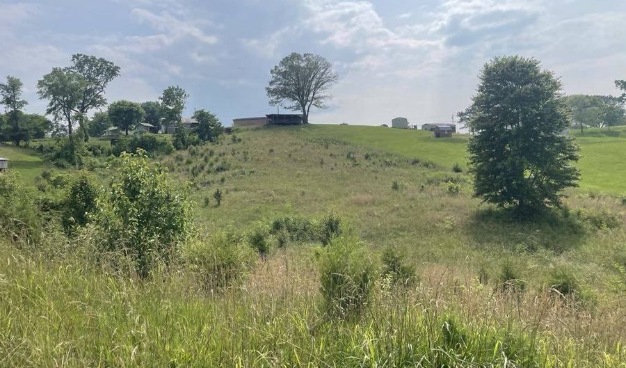 Tract 17A Billy Herold Johnson Subdivision, Albany, KY 42602 - 0 Beds, 0 Bath