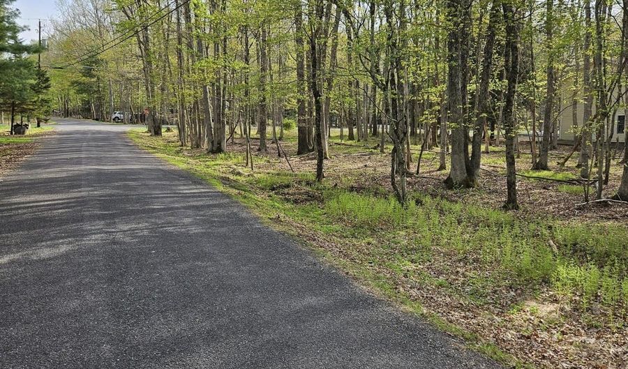 Towamensing Trail & Whitman Lane, Albrightsville, PA 18210 - 0 Beds, 0 Bath