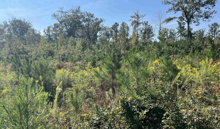 SHORE DRIVE, Ashville, AL 35953 - 0 Beds, 0 Bath