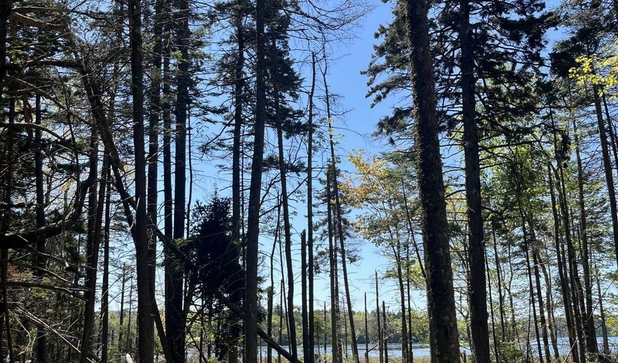 1572 State Highway 102, Bar Harbor, ME 04609 - 0 Beds, 0 Bath