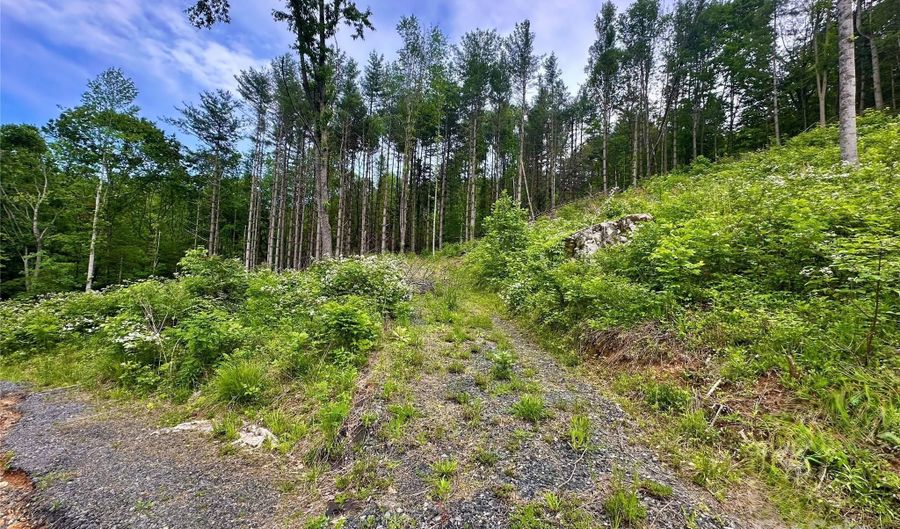 Pumpkin Patch Road, Bakersville, NC 28705 - 0 Beds, 0 Bath