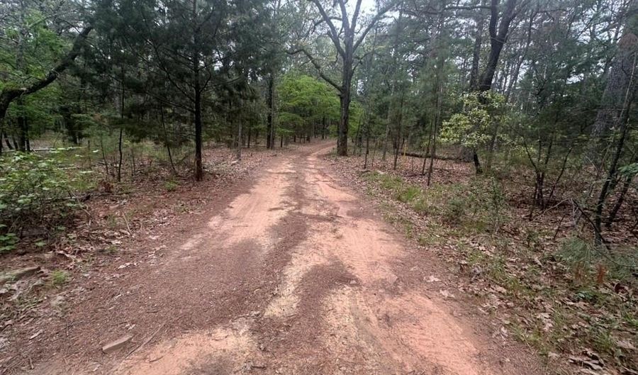 UNIT # 263B KIAMICHI WILDERNESS RD Unit # 63 63, Antlers, OK 74523 - 0 Beds, 0 Bath