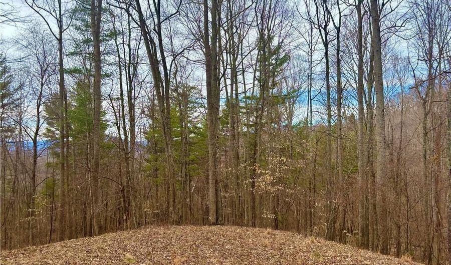 00 Apple Farm Rd, Bakersville, NC 28705 - 0 Beds, 0 Bath