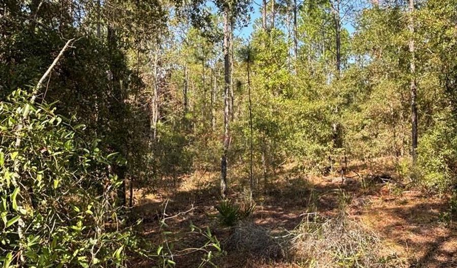 Lot 10 16th Ave, Bell, FL 32619 - 0 Beds, 0 Bath