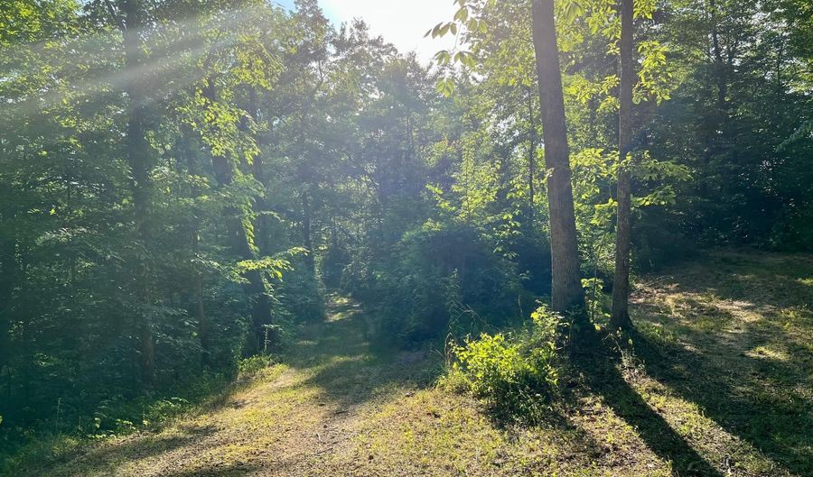 Caudill Road, Beattyville, KY 41311 - 0 Beds, 0 Bath