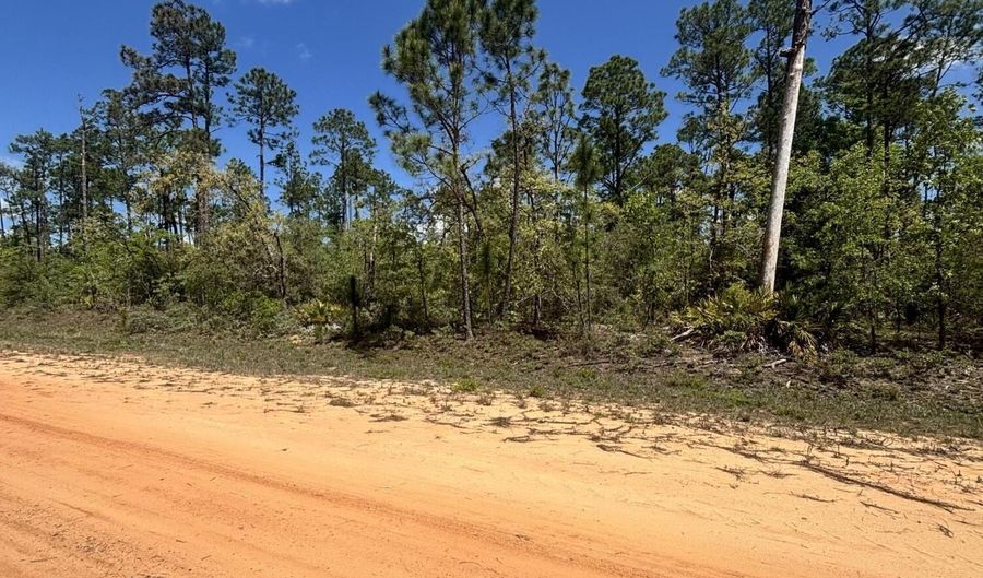 Fremont Avenue, Alford, FL 32420 - 0 Beds, 0 Bath