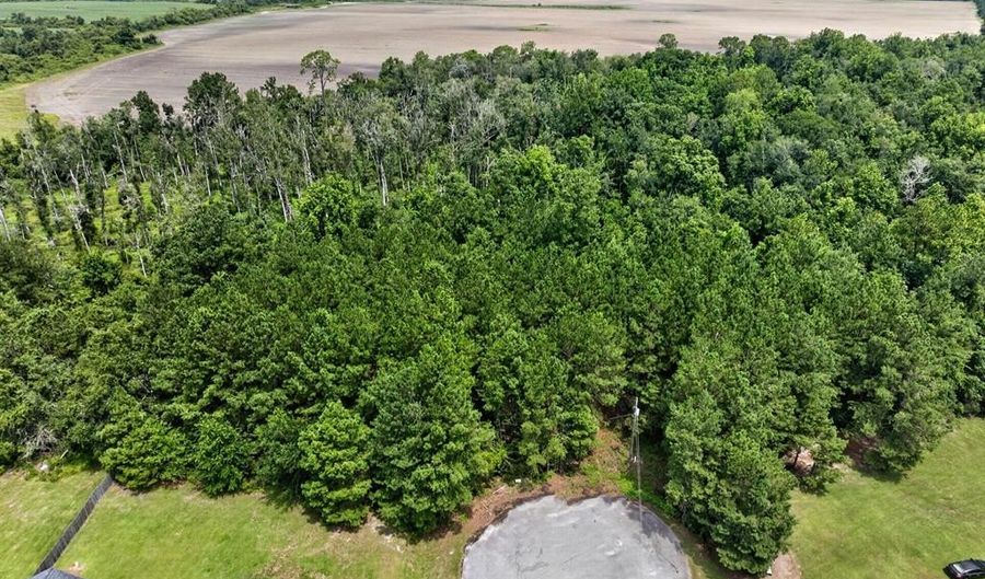 Farmingdon Drive, Adel, GA 31620 - 0 Beds, 0 Bath
