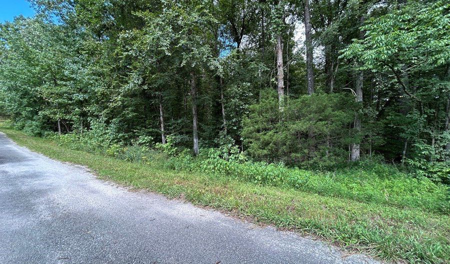 SPENCER LN, Big Sandy, TN 38221 - 0 Beds, 0 Bath