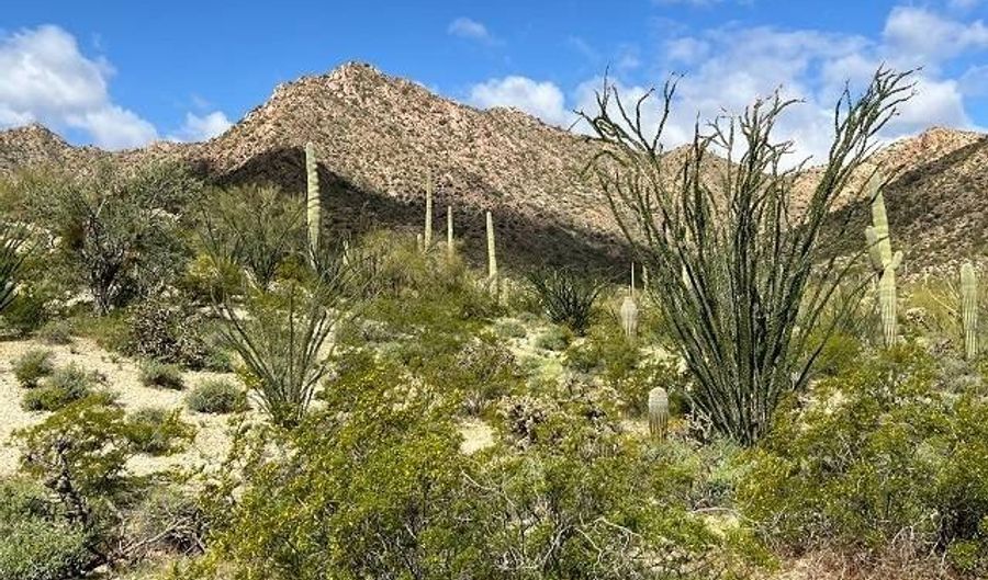 240 S Alley Rd, Ajo, AZ 85321 - 0 Beds, 0 Bath