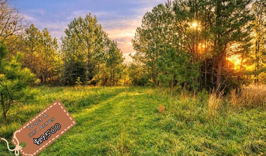 A 10.5 Acres 83 Three B Dr, Abbeville, SC 29260 - 0 Beds, 0 Bath