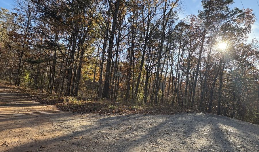 33 Eagle Rdg, Ball Ground, GA 30107 - 0 Beds, 0 Bath