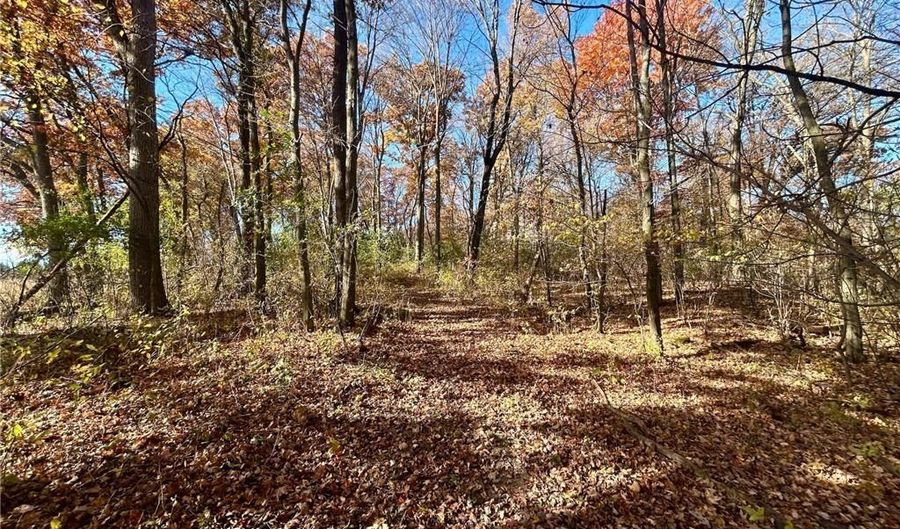 Tbd 125th Street, Alden, WI 54001 - 0 Beds, 0 Bath