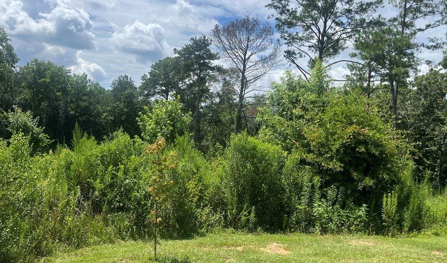 916 County Road 6632, Banks, AL 36005 - 4 Beds, 2 Bath
