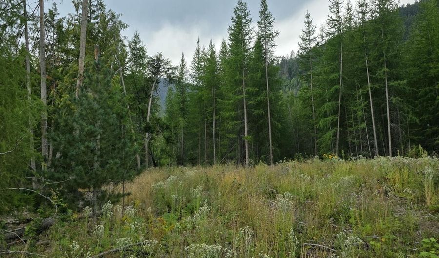 Nna WESTSIDE RD PARCEL 12, Bonners Ferry, ID 83805 - 0 Beds, 0 Bath