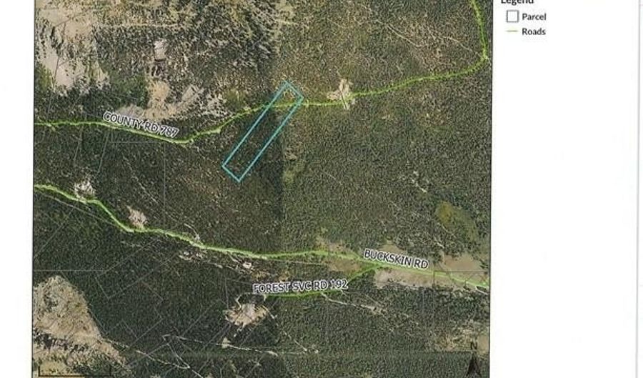 847 County Road 787, Alma, CO 80420 - 0 Beds, 0 Bath