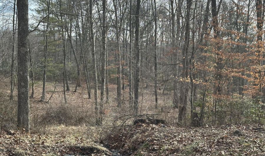 Lot 1 Rt. 1 Muddy Creek Mountain, Alderson, WV 24910 - 0 Beds, 0 Bath