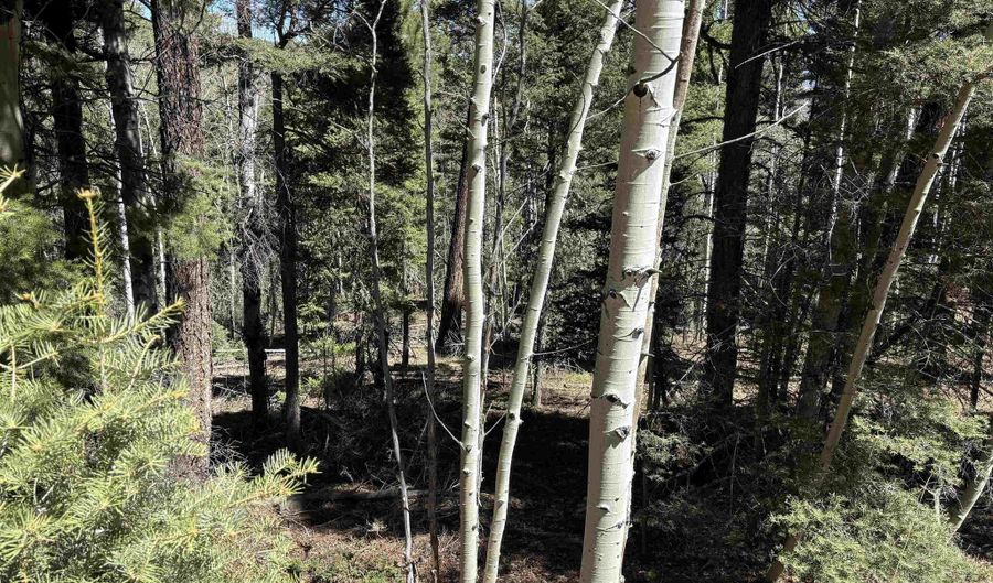 Santo Domingo Trl lot 716, Angel Fire, NM 87710 - 0 Beds, 0 Bath