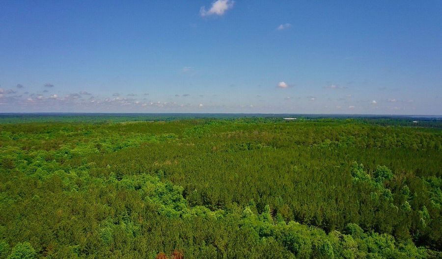 0 Pebble Cove Rd, Abbeville, AL 36310 - 0 Beds, 0 Bath