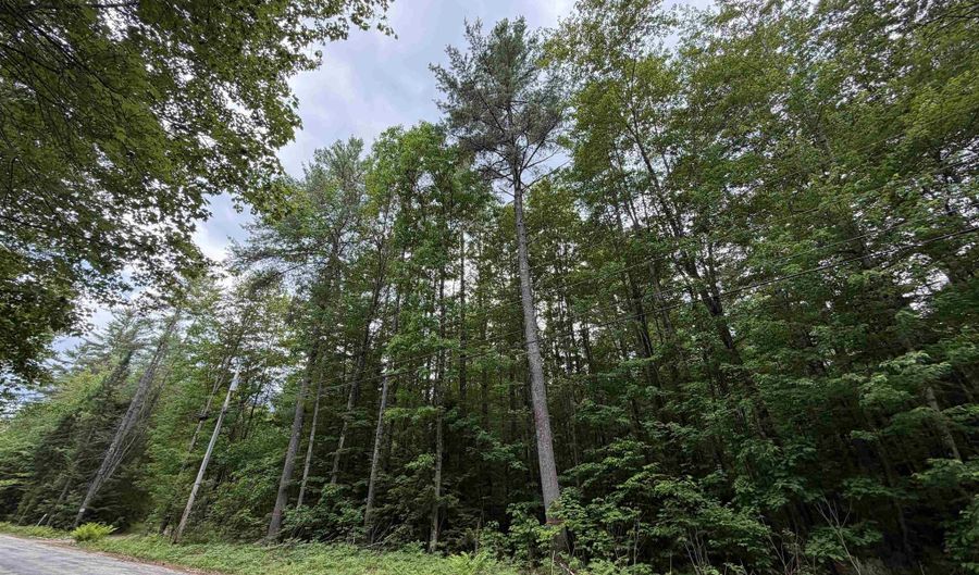 Rolling Ridge Road, Bartlett, NH 03812 - 0 Beds, 0 Bath
