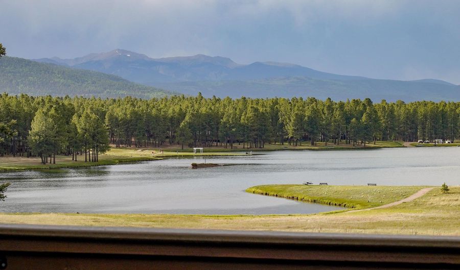 101 Lakeview Park Dr, Angel Fire, NM 87710 - 4 Beds, 2 Bath