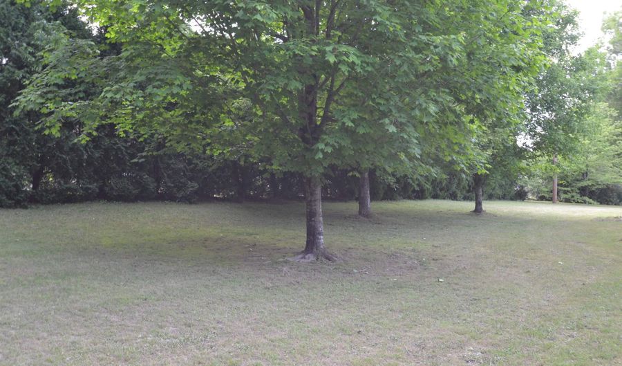 205 Collier Dr, Albertville, AL 35951 - 3 Beds, 3 Bath