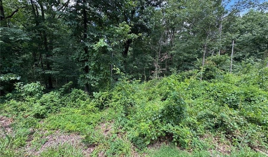 Lot 2 Baltes DR, Bella Vista, AR 72714 - 0 Beds, 0 Bath