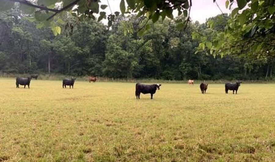 18347 MANOR CHURCH Rd, Boonsboro, MD 21713 - 5 Beds, 4 Bath